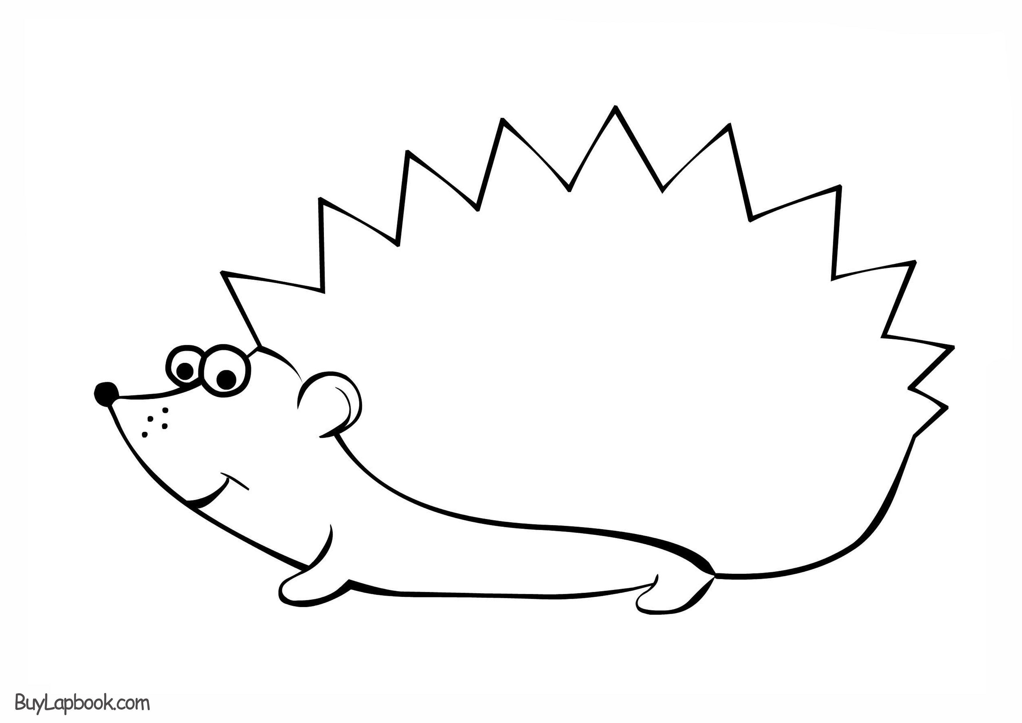 Hedgehogs free printable coloring and activity page for kids