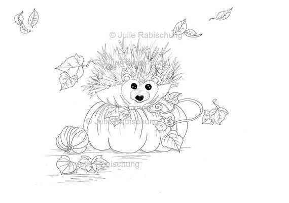 Hedgehog coloring page cute hedgehog digital stamp cute hedgehog for card making cute hedgehog to color hedgehog and pumpkin