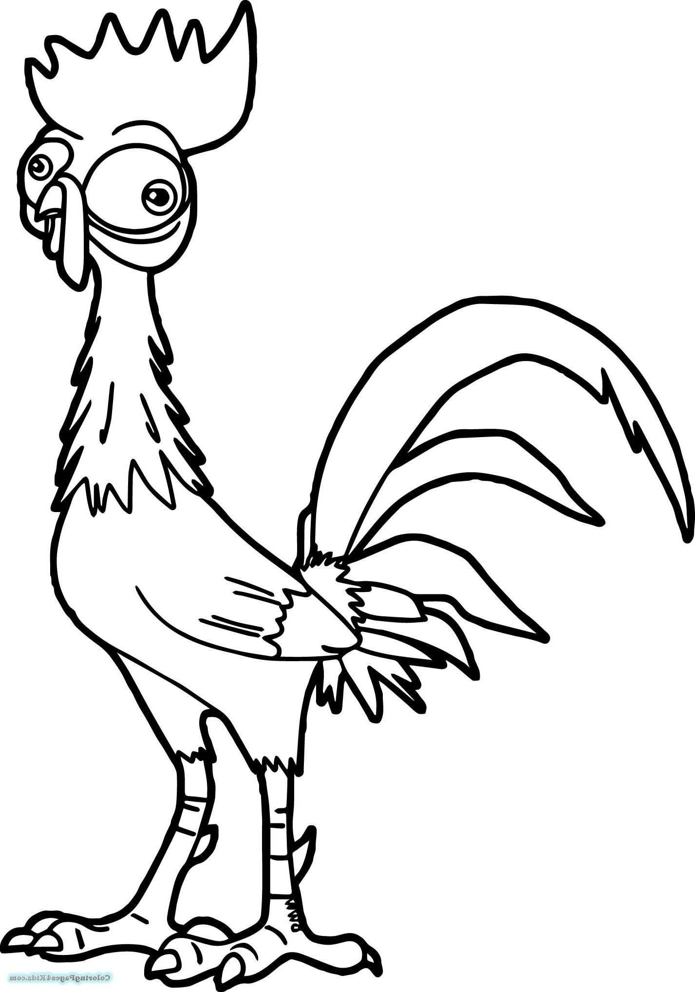 Moana coloring pages heihei â k worksheets sketch coloring page moana coloring pages moana coloring animal coloring pages