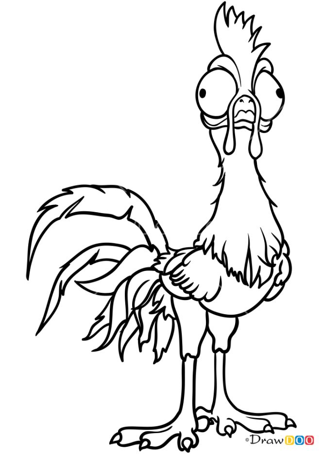 How to draw heihei moana drawings kids art galleries skull coloring pages