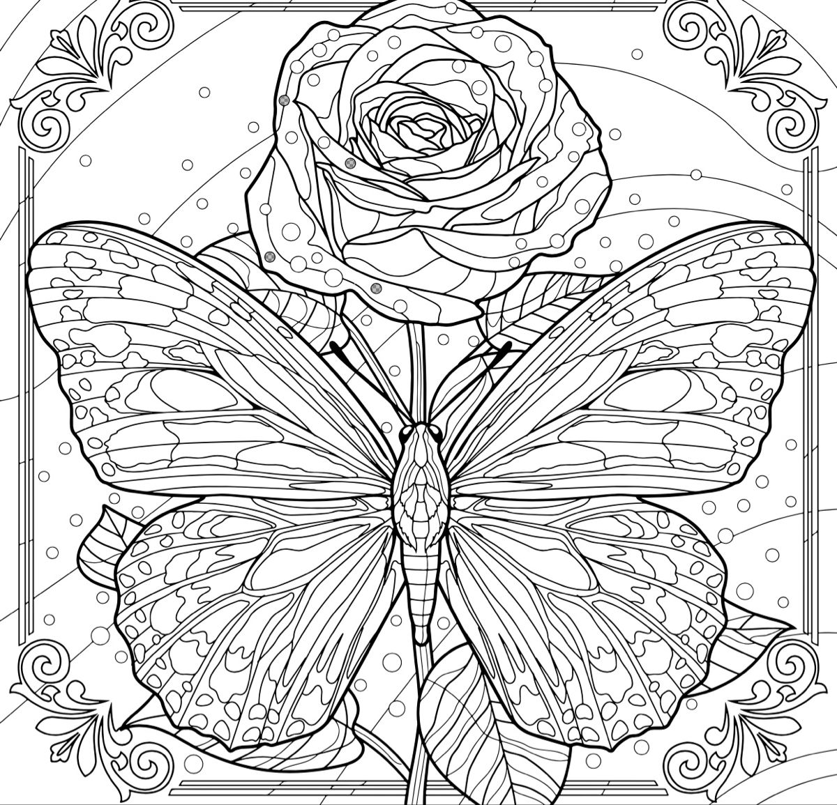 Pin by miranda southard on adult coloring pages in butterfly coloring page witch coloring pages cute coloring pages