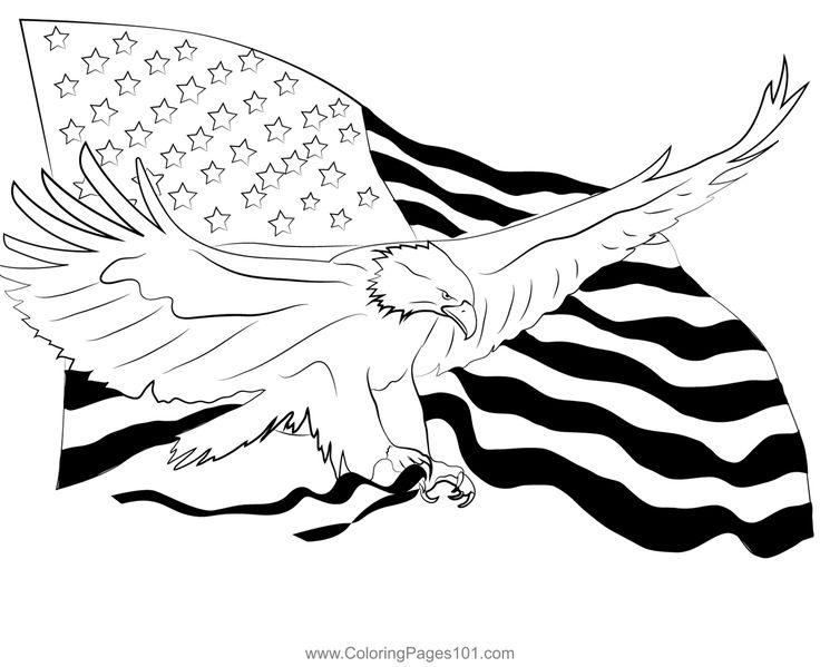 States independence day coloring page in coloring pages color independence day