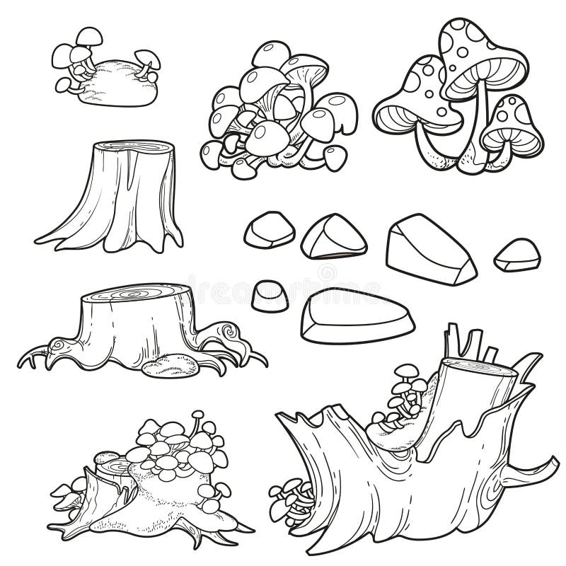 Mushrooms amanita coloring page stock illustrations â mushrooms amanita coloring page stock illustrations vectors clipart