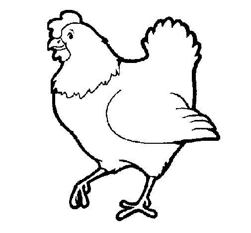 Hen coloring page