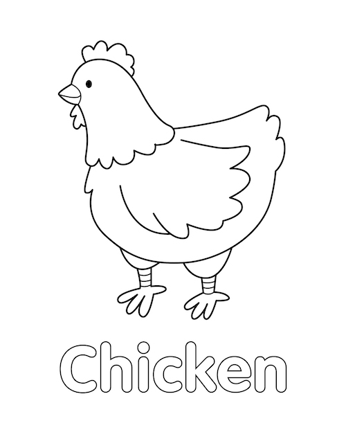 Chicken coloring page