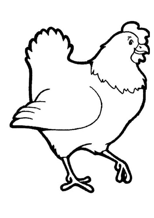 Basic hen coloring page