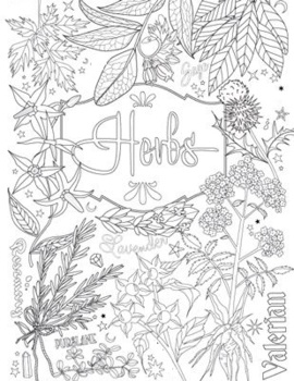 Herbs coloring book for kids and adults by younes el bekkal tpt