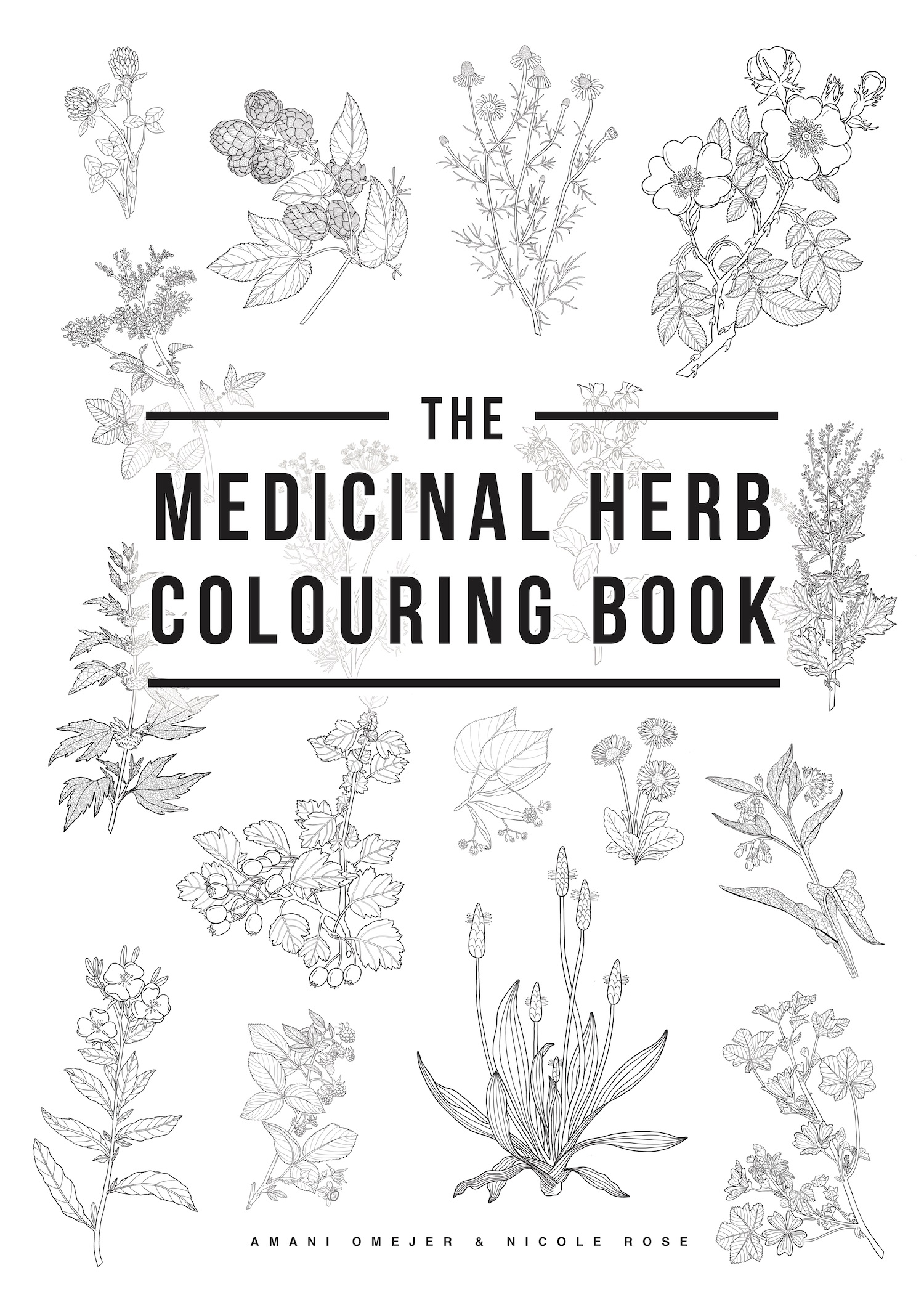 The medicinal herb colouring book â solidarity apothecary
