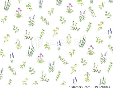 Download Free 100 + herbs Wallpapers