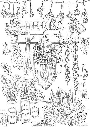 Herbs â favoreads coloring club