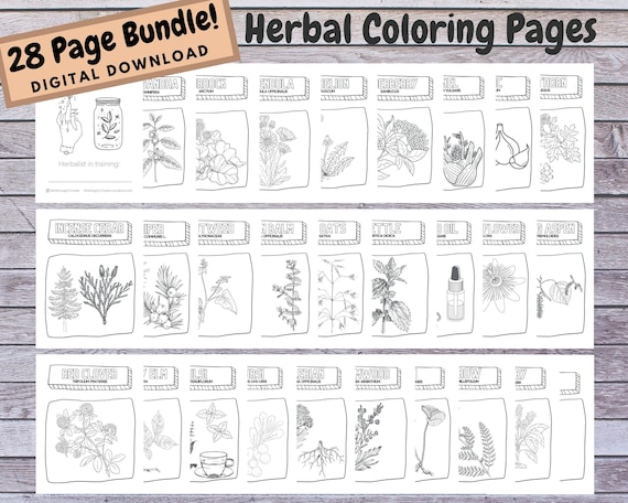 Herbal coloring pages abc page bundle digital download printable