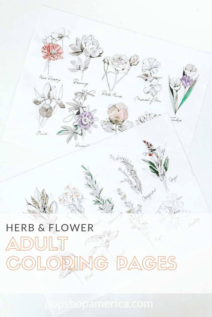 Herb flower adult coloring pages