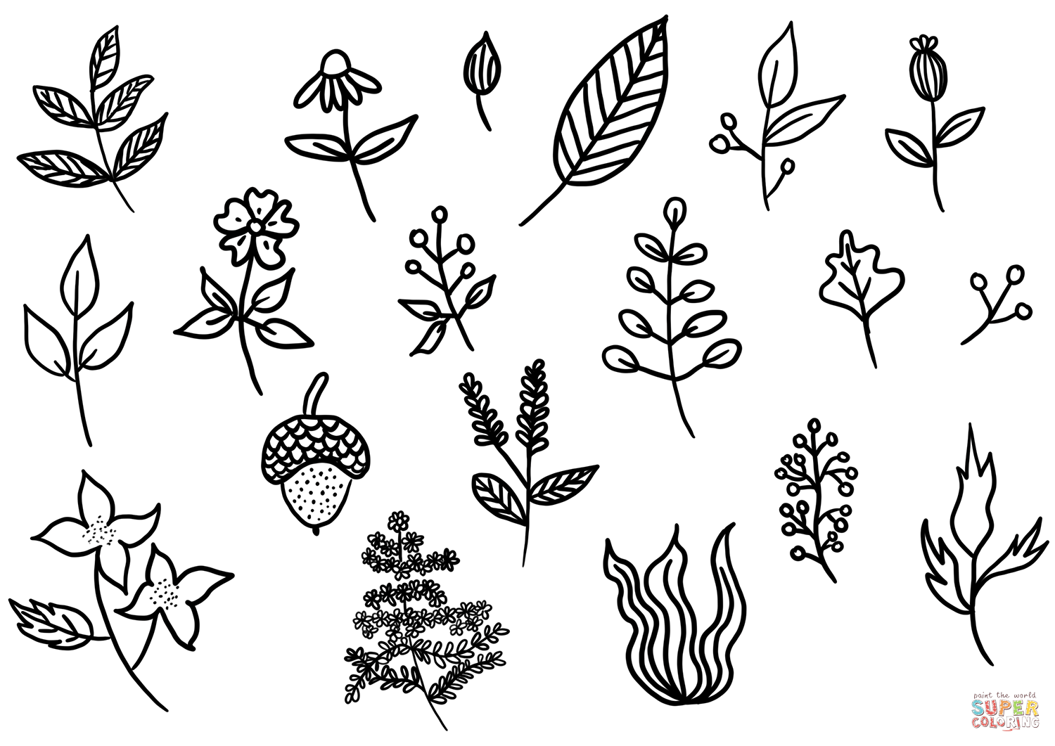 Herbs and spices chart coloring page free printable coloring pages