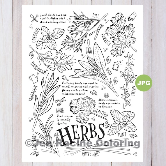 Herbs coloring page vegetable coloring page garden gardening homegrown vegetable coloring pages