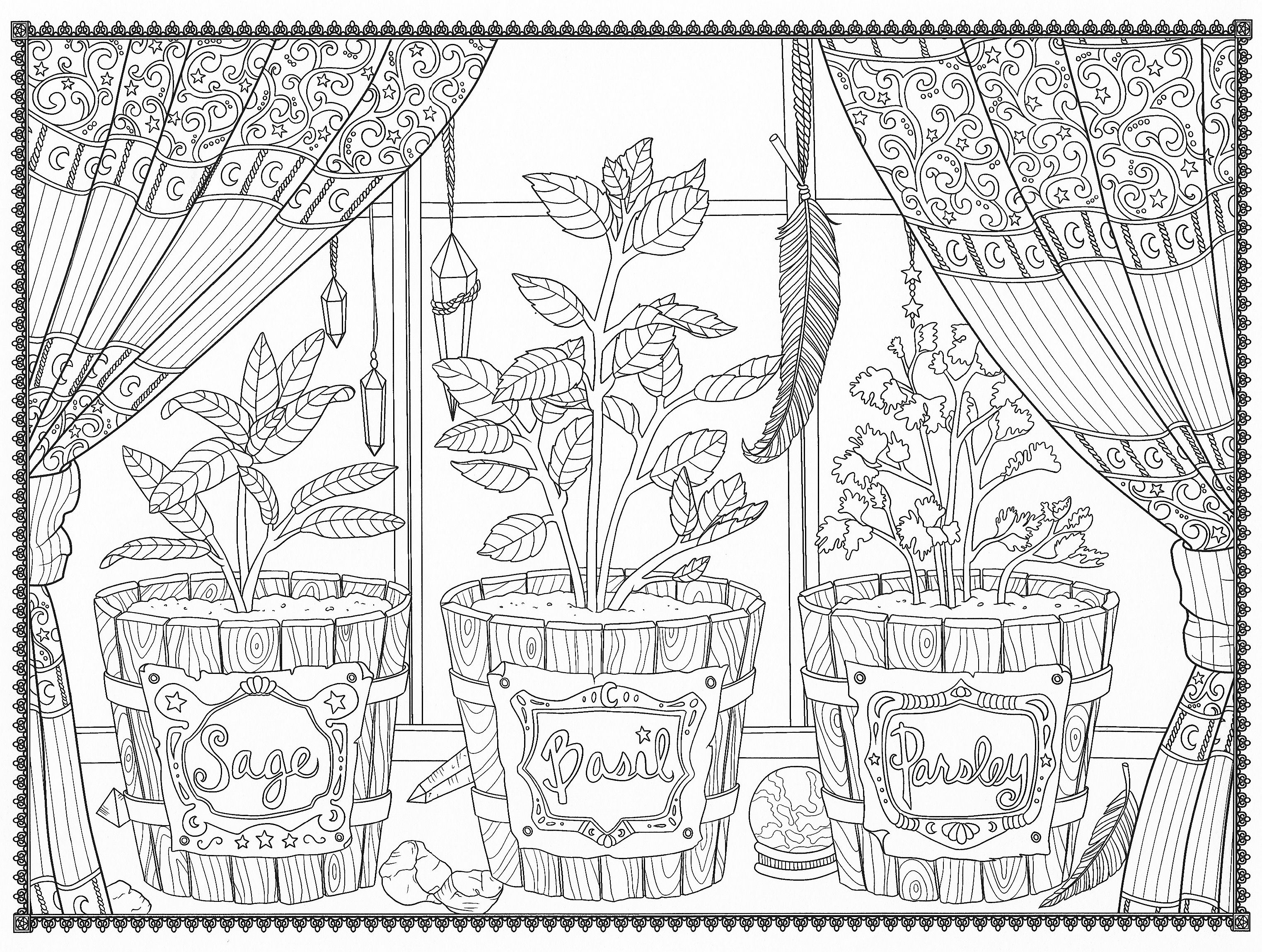 Potted herbs coloring page mandala coloring pages adult coloring pages coloring pages