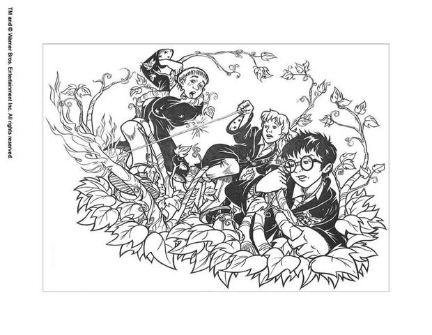 Hermione with harry coloring pages