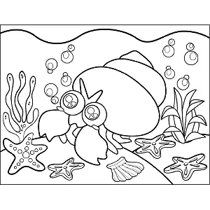 Hermit crab coloring page