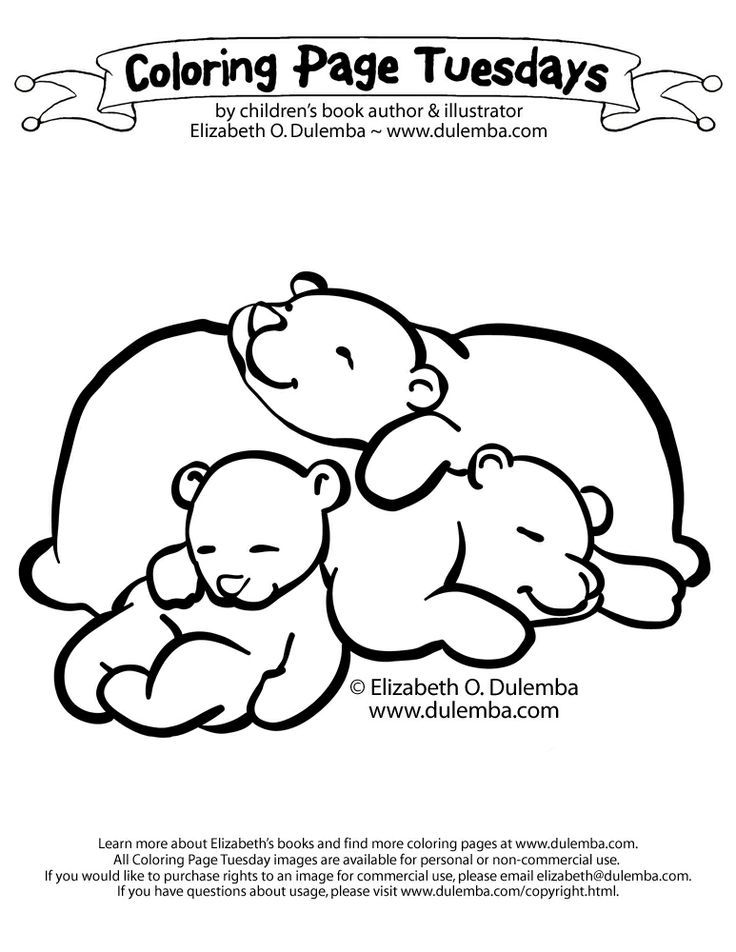 Hibernating bears coloring pages bear coloring pages hibernating bear craft bear crafts