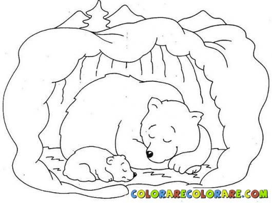 Hibernation bear colouring pages bear coloring pages animal coloring pages hibernating bear craft