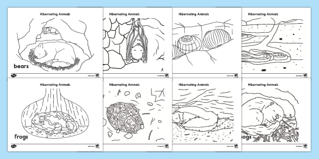 Hibernating animals coloring sheets teacher made