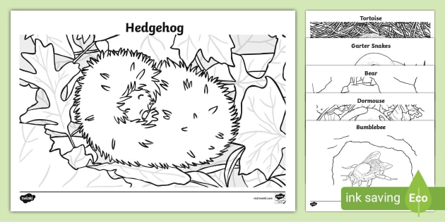 Hibernation colouring pages teacher made