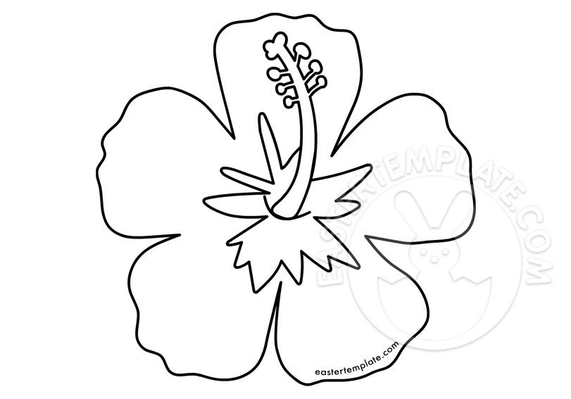 Hibiscus coloring page