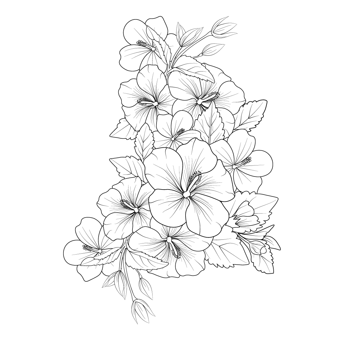 Hibiscus flower vector illustration of a beautiful flower bouquet a hand