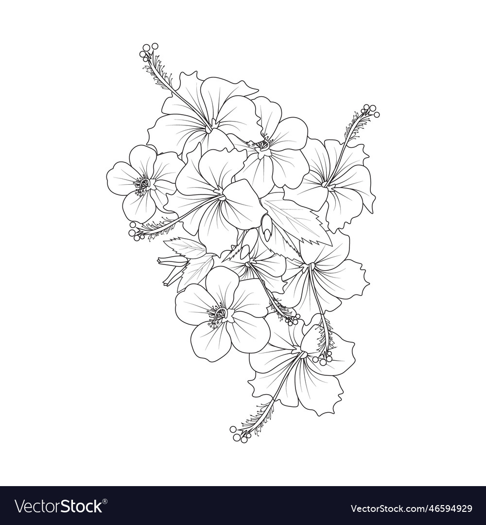 Realistic hibiscus flower coloring pages line art vector image