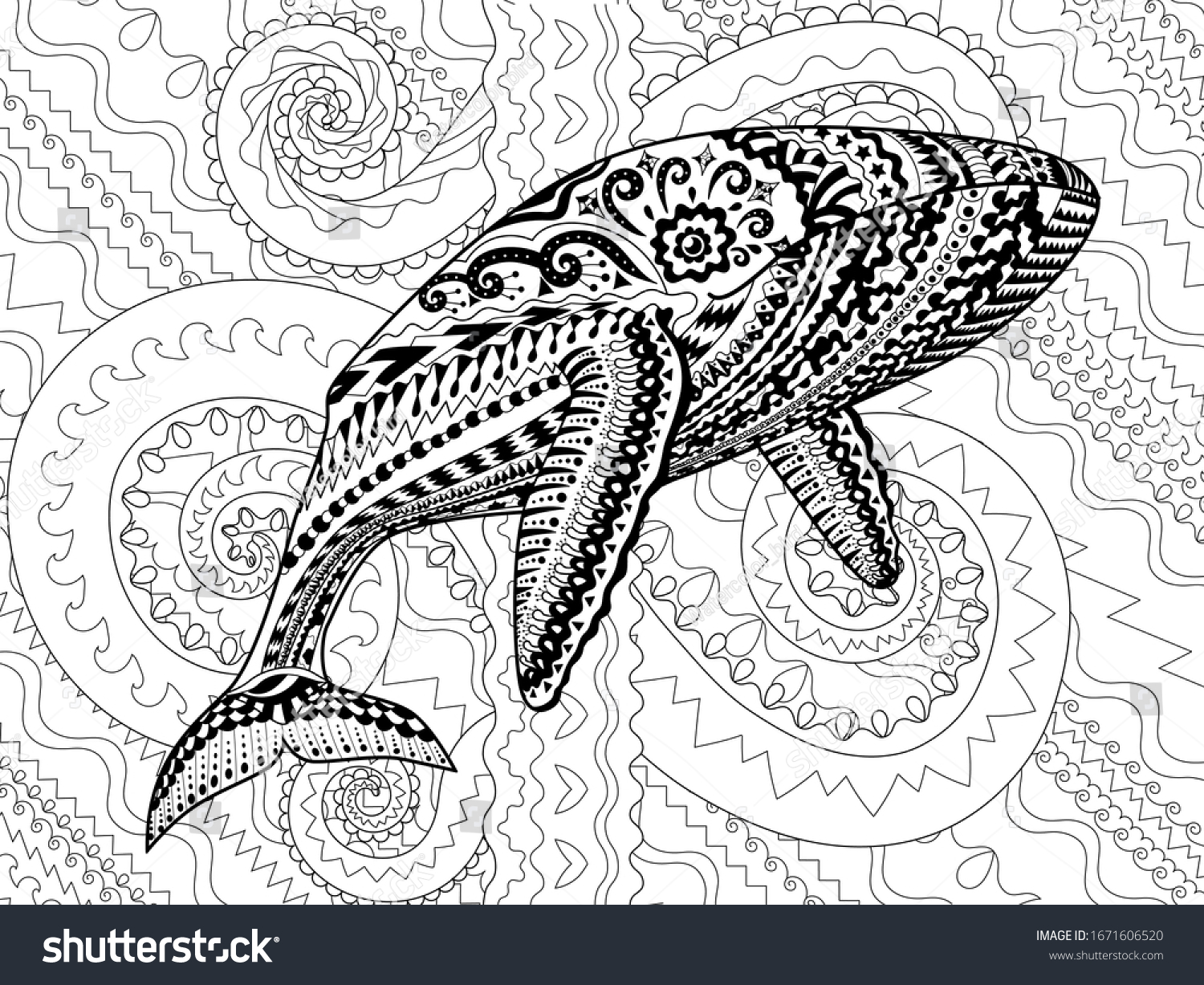 Coloring pages adults humpback whale antistress stock vector royalty free