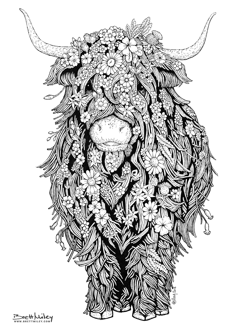 Highland cow by brettmiley on