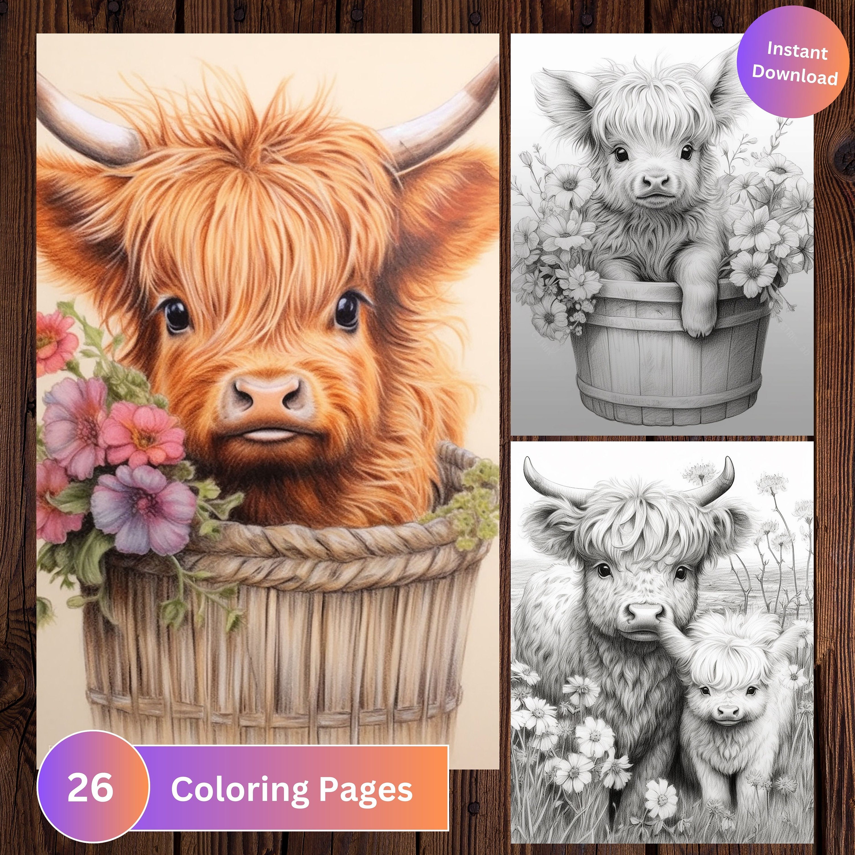 Baby highland cows coloring page book adults kids cow coloring instant download grayscale coloring page printable pdf