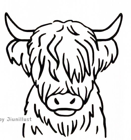 Colouring page highland cow painting cow painting cow drawing