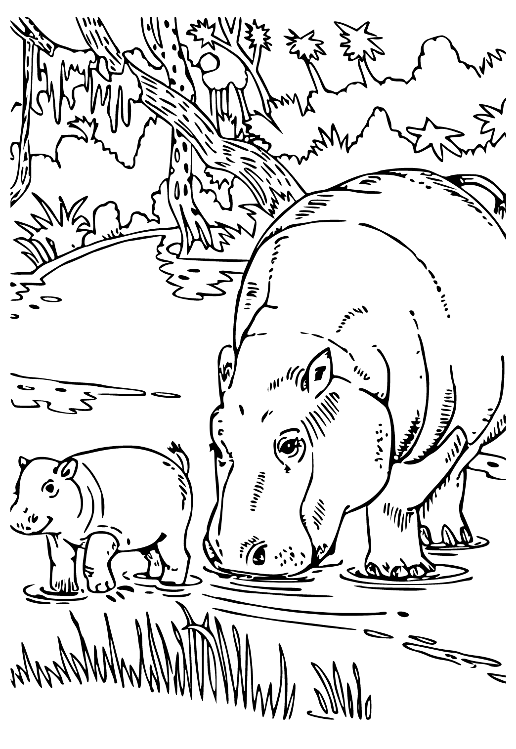 Free printable hippo real coloring page for adults and kids