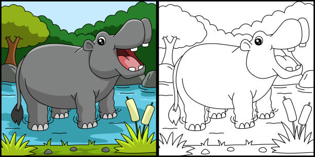 Hippo coloring pages stock illustrations royalty