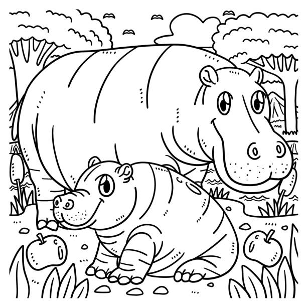 Hippo coloring pages stock illustrations royalty