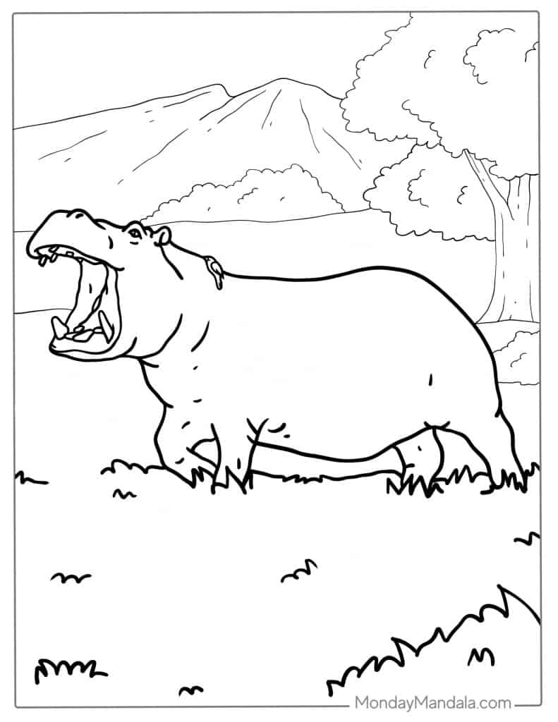 Hippo coloring pages free pdf printables