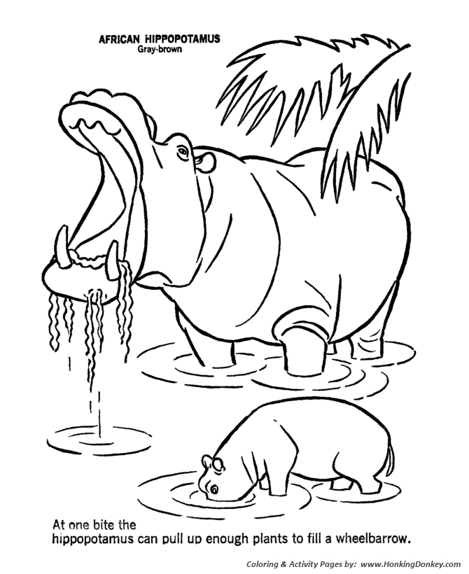 Wild animal coloring pages yawning hippo