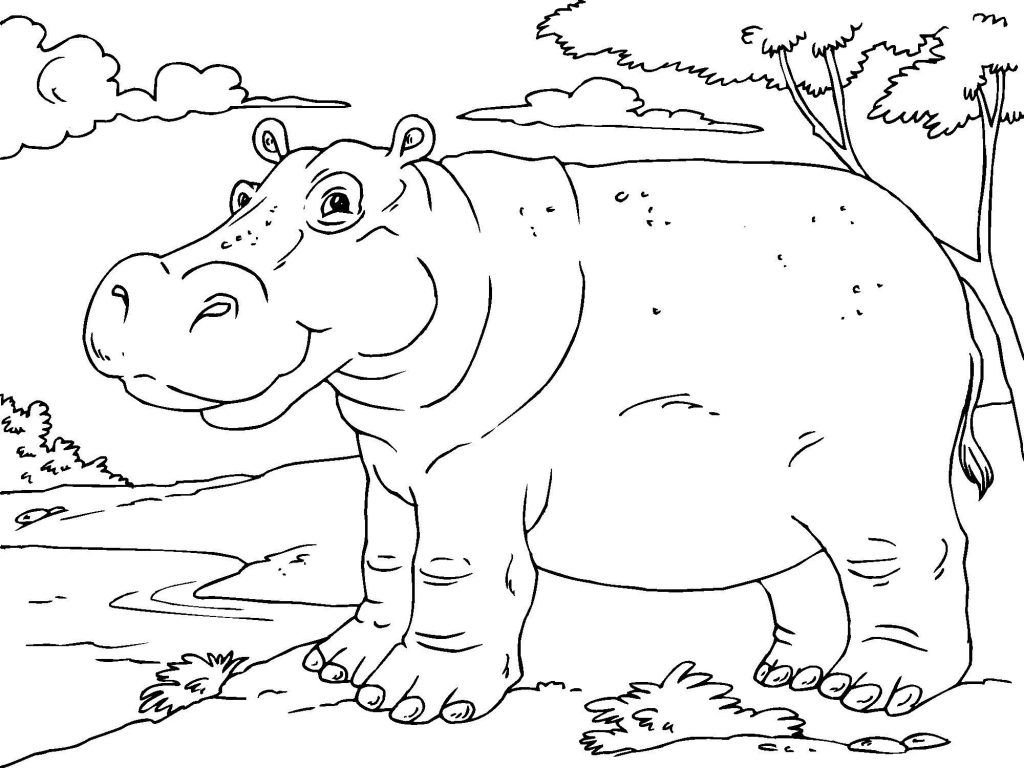 Free printable hippo coloring pages for kids animal coloring pages coloring pages coloring pages for kids