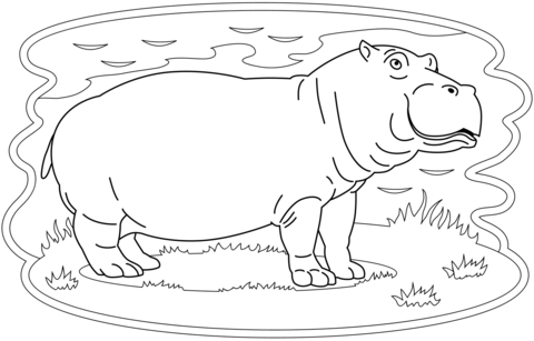 Hippopotamus coloring page free printable coloring pages