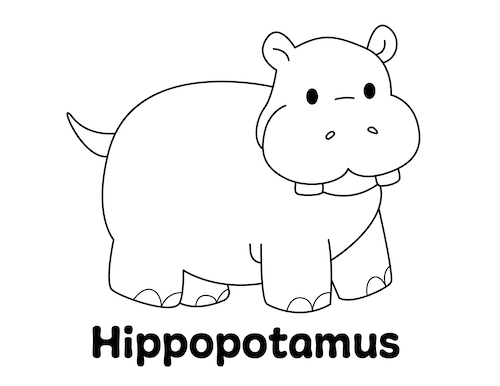 Hippo coloring page