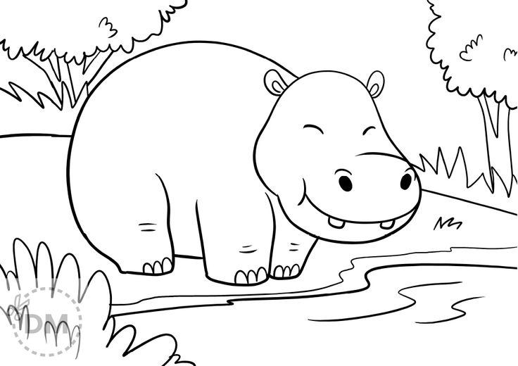 Hippo on a river â printable coloring sheet cute coloring pages animal coloring pages coloring pages