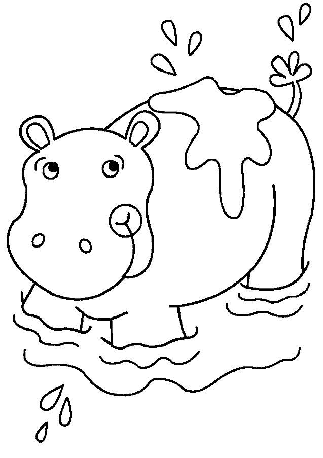 Free printable hippo coloring pages for kids animal coloring pages coloring pages hippo crafts