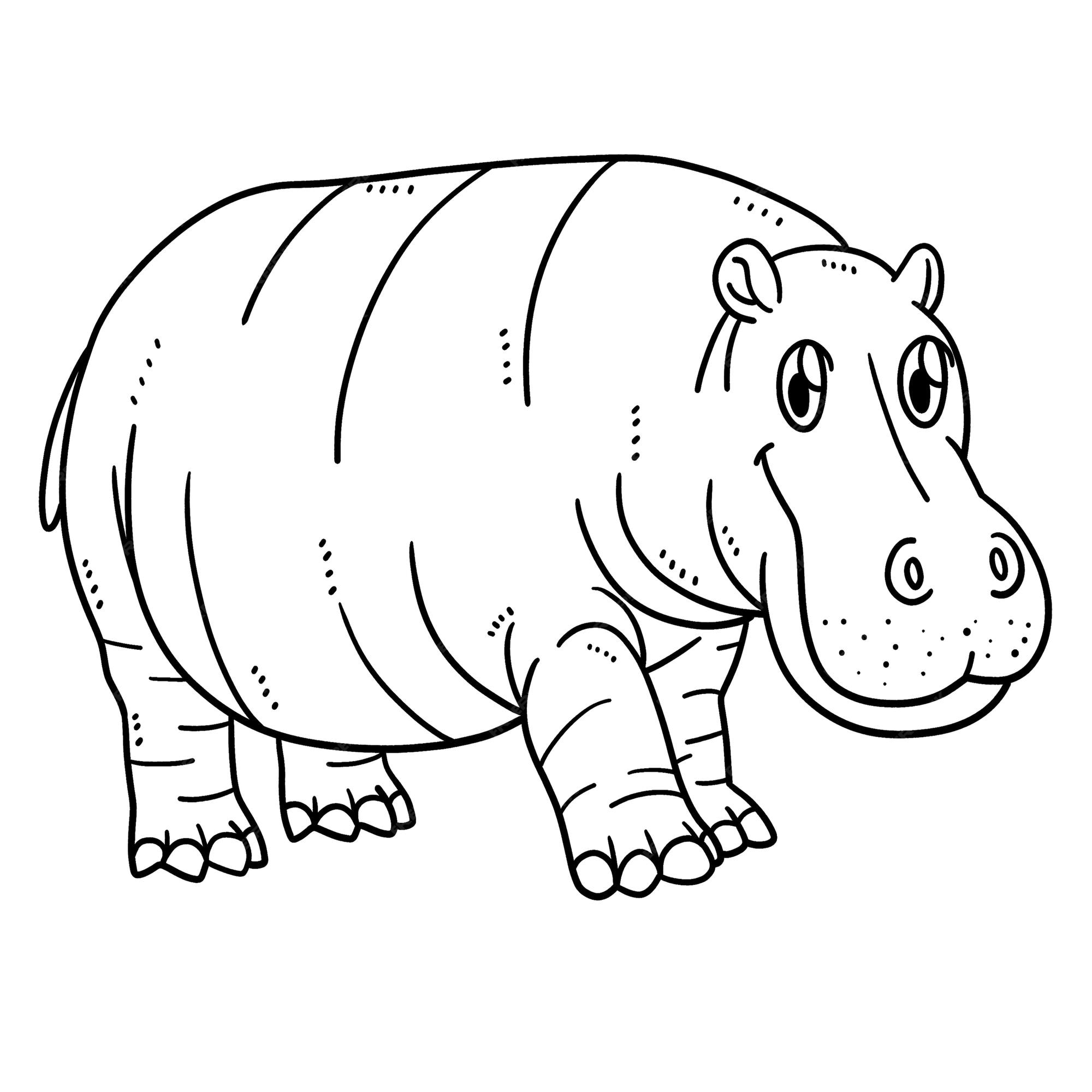 Premium vector baby hippo isolated coloring page for kids