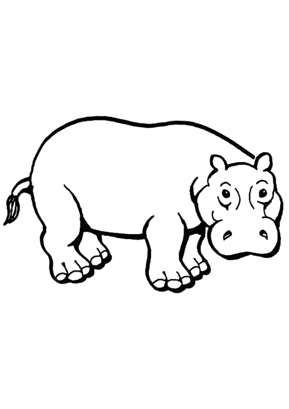 Coloring pages hippo coloring sheet for kids