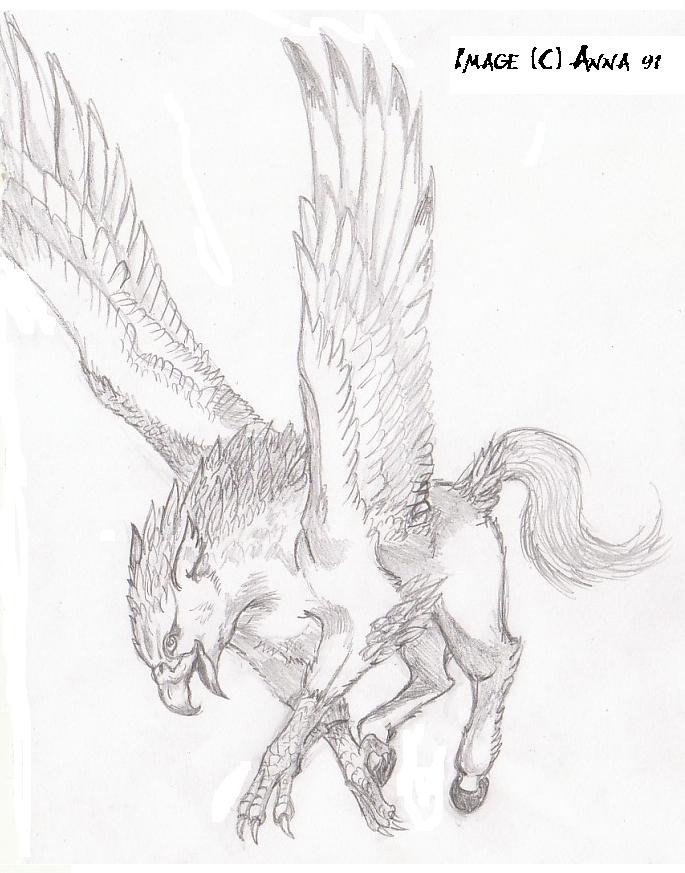 Hippogriff by anna