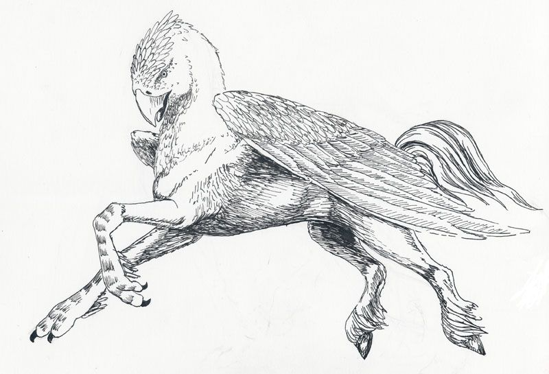 Harry potter hippogriff coloring pages