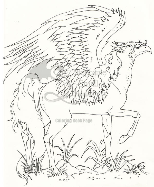 Coloring book hippogriff by stephaniesmall on