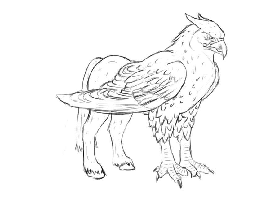 Hippogryph by acrasai on deviantart harry potter coloring pages harry potter colors harry potter drawings