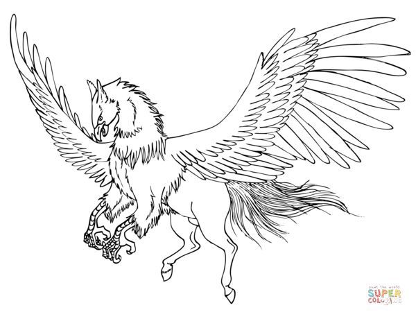 Isei the hippogriff harry potter coloring pages coloring pages animal drawings