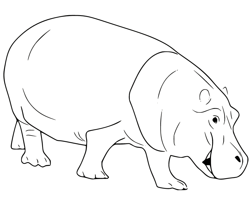 Hippo coloring pages printable for free download